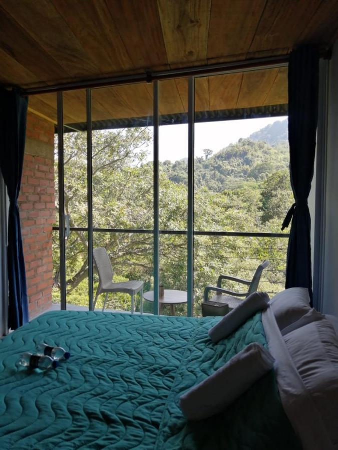 Auberge de jeunesse Pistacho à Minca Extérieur photo